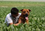 ENFANT ET CHIEN 380